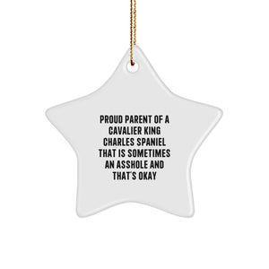 Funny Cavalier King Charles Spaniel Dog Gifts from Proud Parents, Star Ornament for Men, Women, Friends, Coworkers, Family, 'Sometimes an Asshole' Humor, Christmas Unique Gifts - Image 1