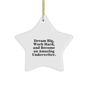 Funny Underwriter Gifts for Christmas Star Ornament Inspirational Quote, Dream Big Work Hard, Ideal for Friends Family Coworkers, White Star Shaped Decorations with Gold Cord - Image 1