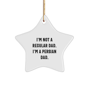 Funny Persian Cat Star Ornaments Gifts from Mom to Dad for Christmas Unique Decoration - Image 1