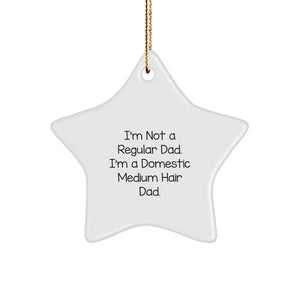 Domestic Medium Hair Dad Star Ornament, Funny Christmas Unique Gifts from Friends or Family, I'm Not A Regular Dad, Unique Star Shaped Decor for Home - Image 1